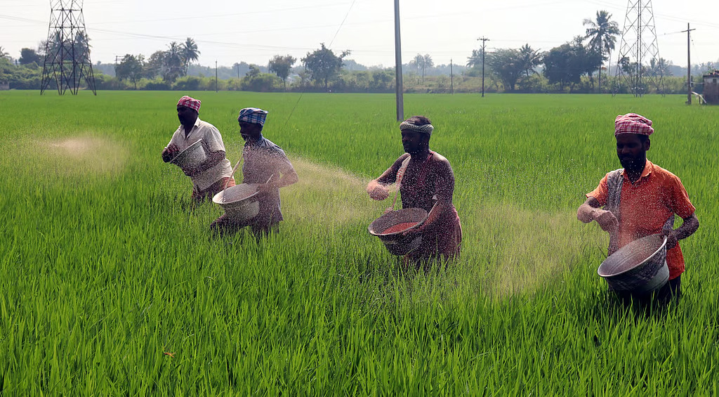 https://salarnews.in/public/uploads/images/newsimages/maannewsimage01022025_183036_newindianexpress_2025-02-01_61fmxprf_C11CH1441106635649 farmers.jpg